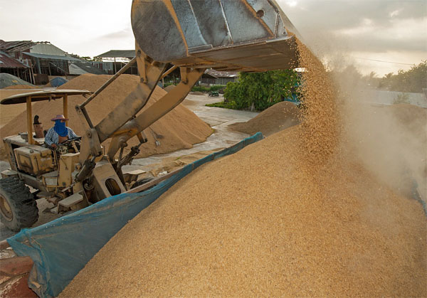 rice milling