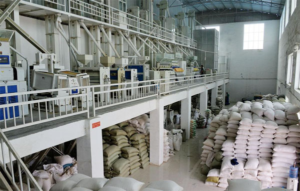 rice mill plant