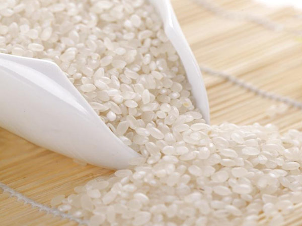 What is the future of rice processing industry?