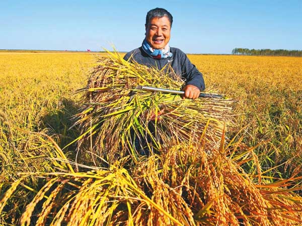 rice mill