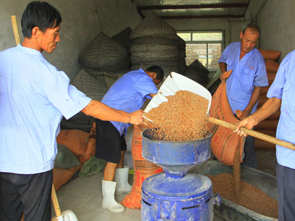 The comparison of traditional rice milling and modern rice mills