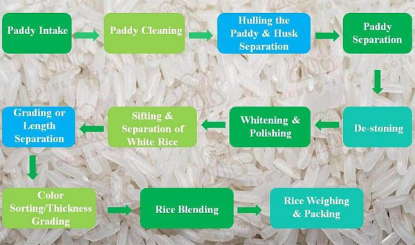 rice mill production process